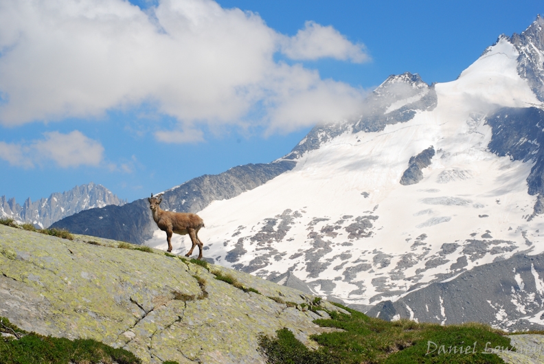 Eighten Eiger